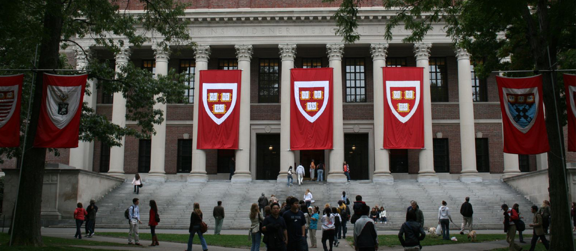 students outside of Widener library, Harvard Yard